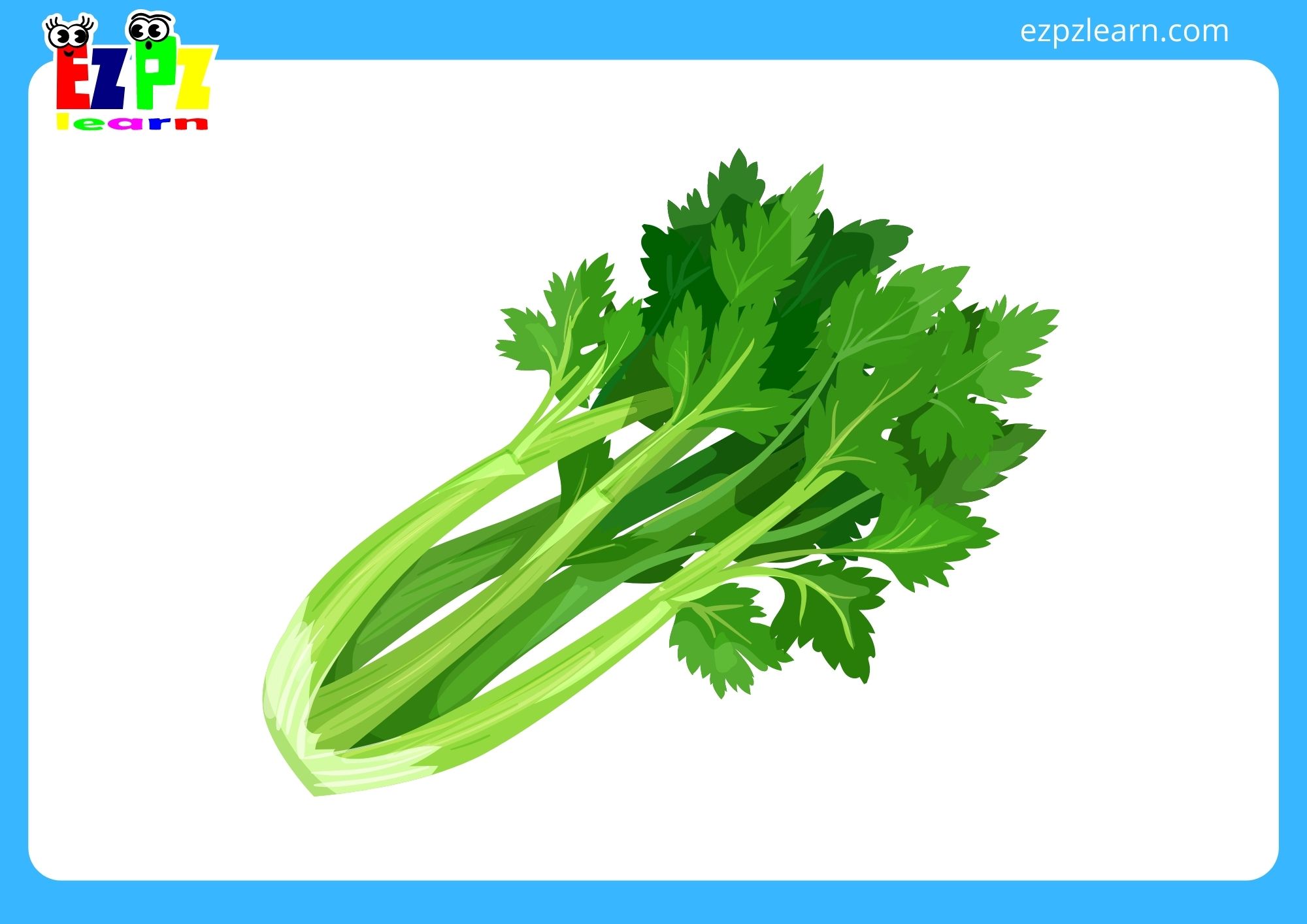 celery